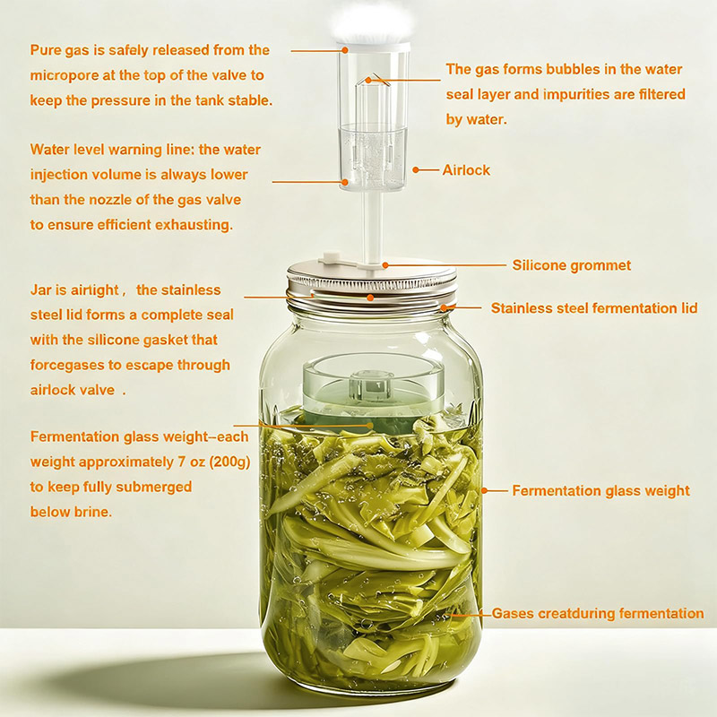 Fermentation Crock - Kit di Fermentazione, Barattoli Mason a