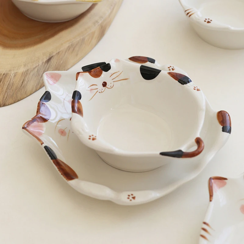 Piatto in ceramica per gatti d - Home Cooking For Cats recensione e prezzo