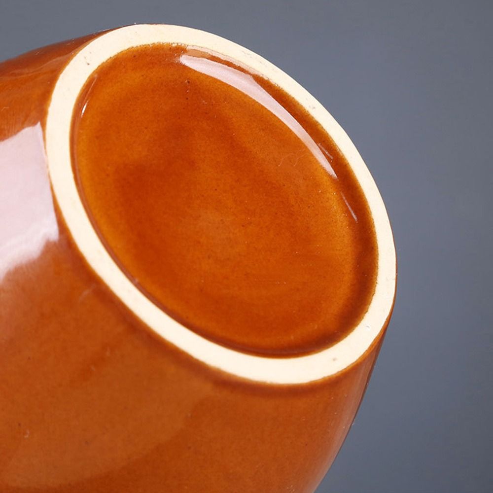 Barattolo in Ceramica per Sott - Fermentation Crock recensione e prezzo